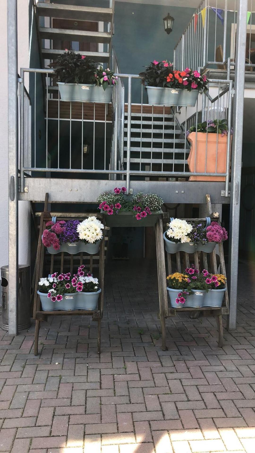 Rheinliebe Bistro Und Pension 로르히 암 르하인 외부 사진